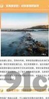 大象传媒 破解-破解大象传媒，深度洞察与策略建议