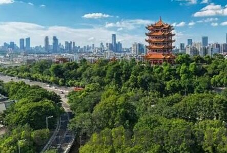 糖心app官网下载地址-探索数字娱乐的新境界，糖心app的独特魅力与安全下载指南