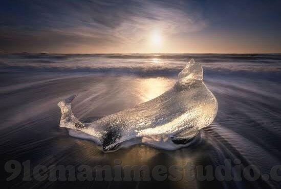 糖心app苹果手机下载-解锁新体验 —— 糖心App在苹果手机上的实用下载指南